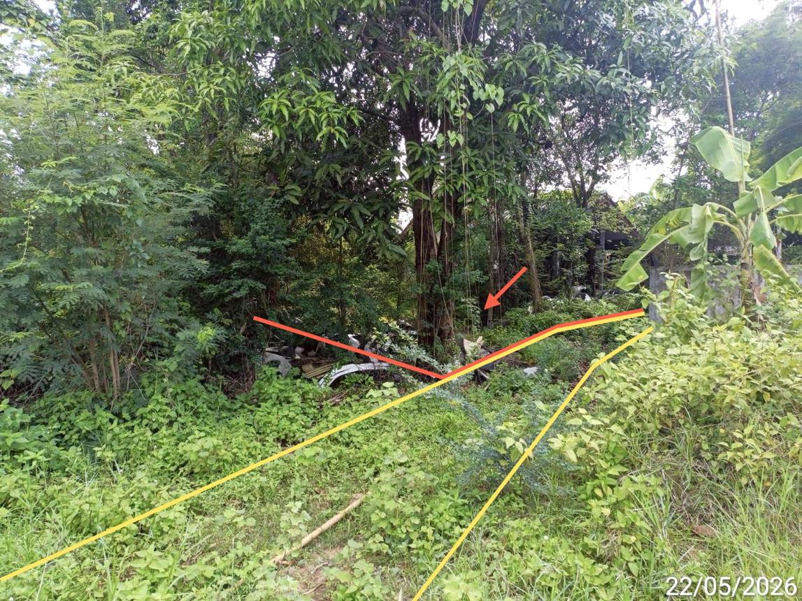 picture LAND 202 Sq.w. Chiang Yun Maha Sarakham for 296,000 - 6/14