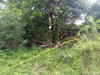 listing thumbnail image 10