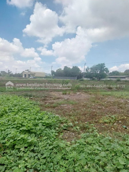รูป ให้เช่าที่ดินแปลงใหญ่ 1-5 ไร่ ซ.หนองระแหง5 คลองสามวา ใกล้ทางด่วนจตุโชติ - รูปที่ 7/28