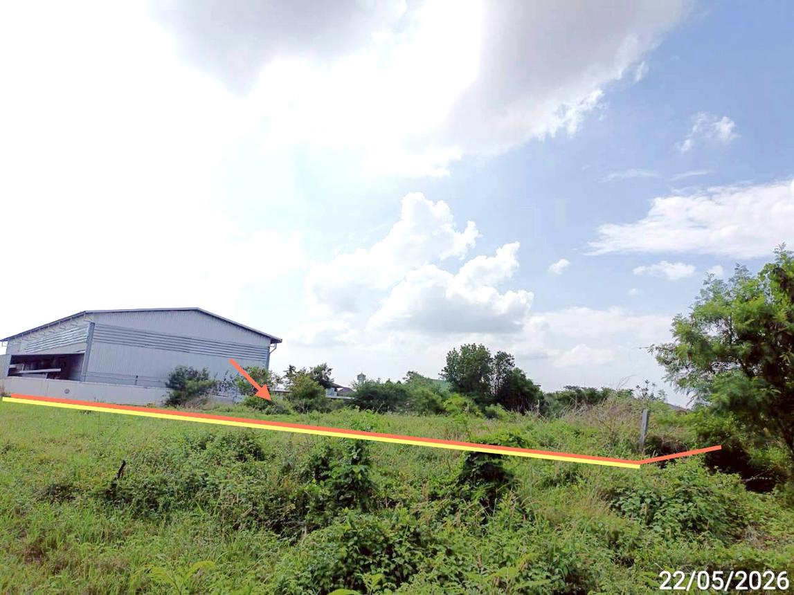 picture LAND 1355 Sq.w. Chiang Yun Maha Sarakham for 5.5M - 8/14