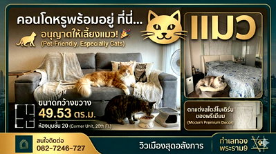 Condos for rent : Cats are welcome. High floor, 20th floor, large room, 50 sq m.