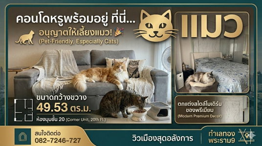 รูปภาพ Cats are welcome. High floor, 20th floor, large room, 50 sq m.