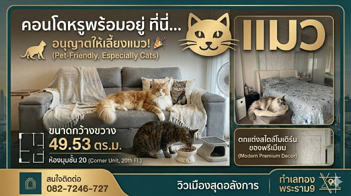 picture Cats are welcome. High floor, 20th floor, large room, 50 sq m. - 1/4