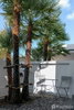 listing thumbnail image 7