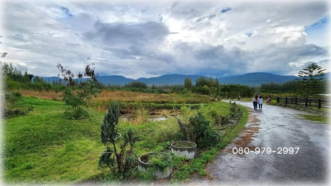 รูป ขายที่ดินโฉนดเขาใหญ่แปลงสวยวิวเขาล้อม เดินทางสะดวกติดถนน - รูปที่ 12/18