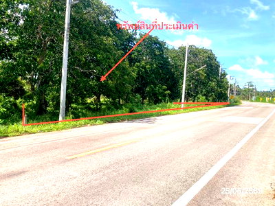 ขายที่ดิน : ที่ดินว่างเปล่า 379.5 ตร.วา เมืองสุราษฎร์ธานี สุราษฎร์ธานี 1.7M