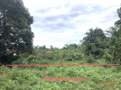 picture LAND 182.2 Sq.w. Prasaeng Surat Thani for 877,000 - 23/26