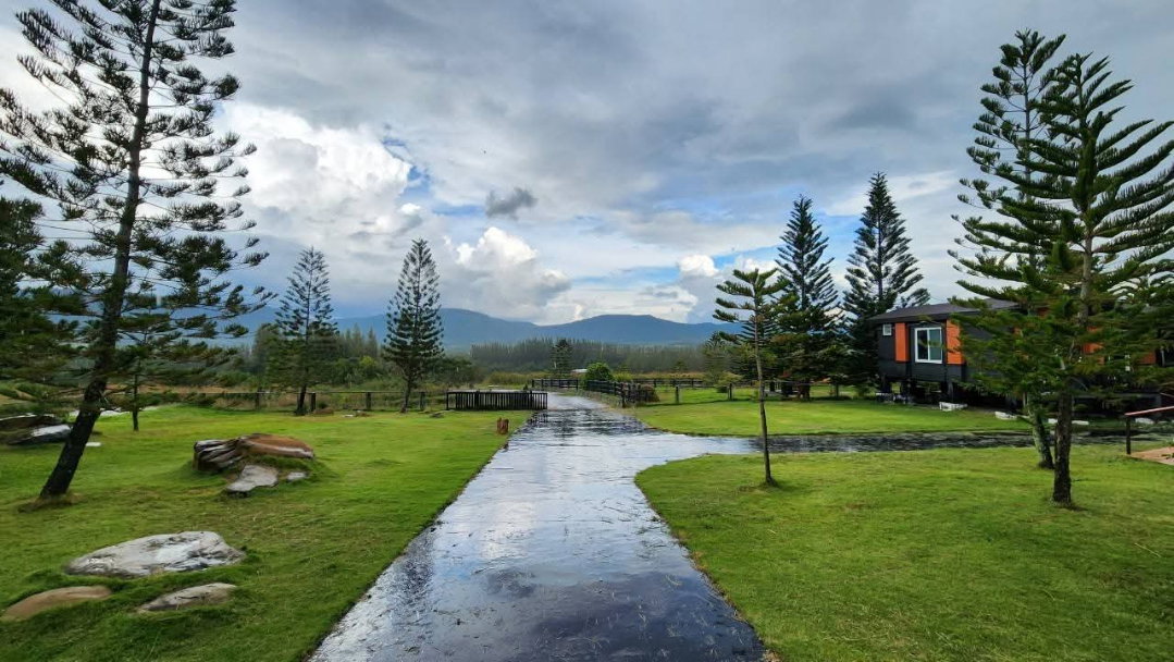 รูป ขายที่ดินโฉนดเขาใหญ่แปลงสวยวิวเขาล้อม เดินทางสะดวกติดถนน - รูปที่ 4/18