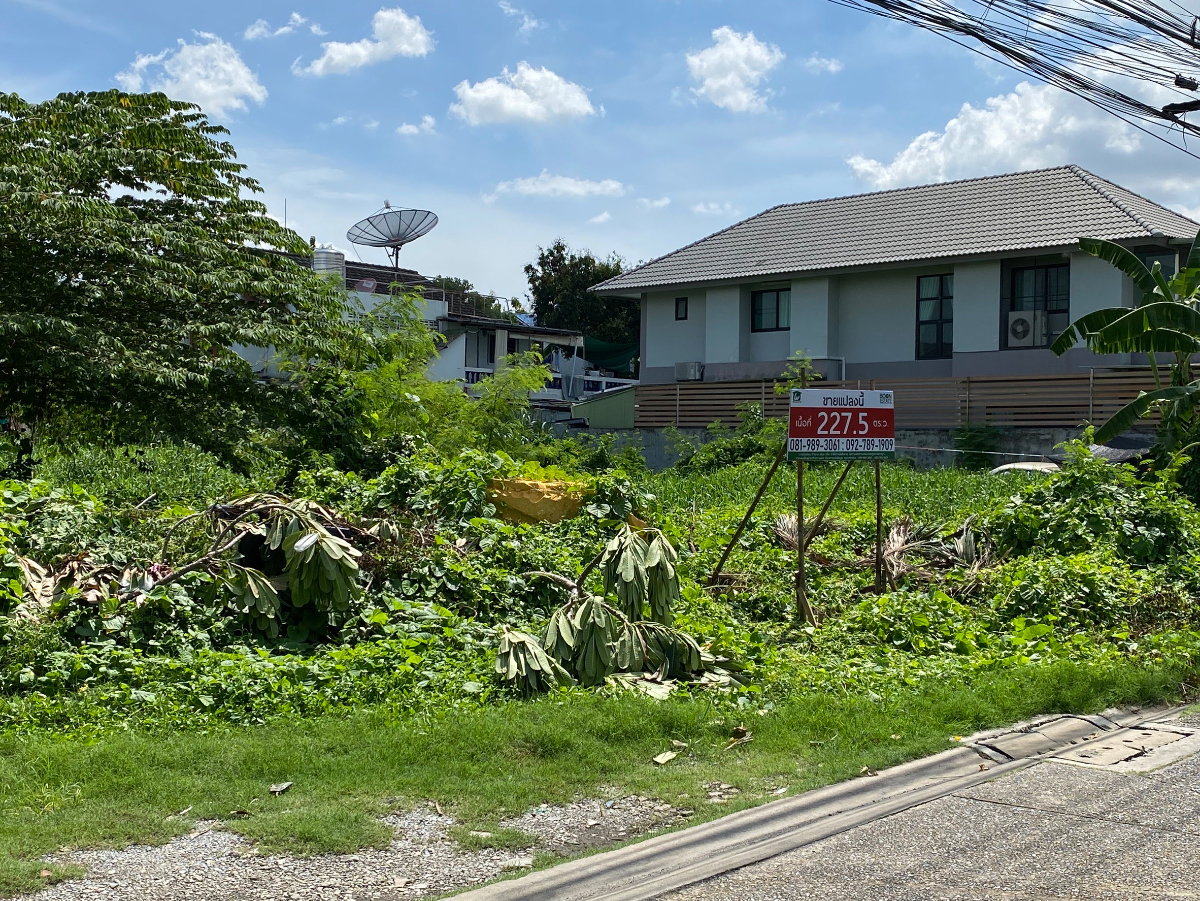 รูป ที่ดินเปล่าพร้อมใช้งาน ลาดพร้าว 41 (ภาวนา) [Boon Estate] - รูปที่ 5/8