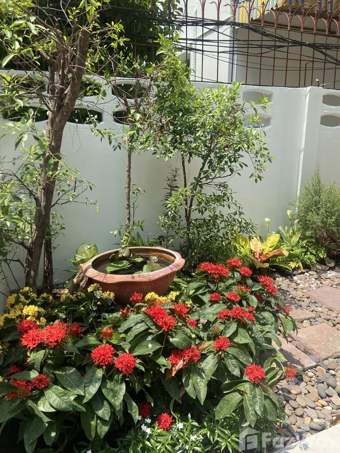 picture For Rent – Spacious Single House (Townhome Style) 6458556 - 3/20
