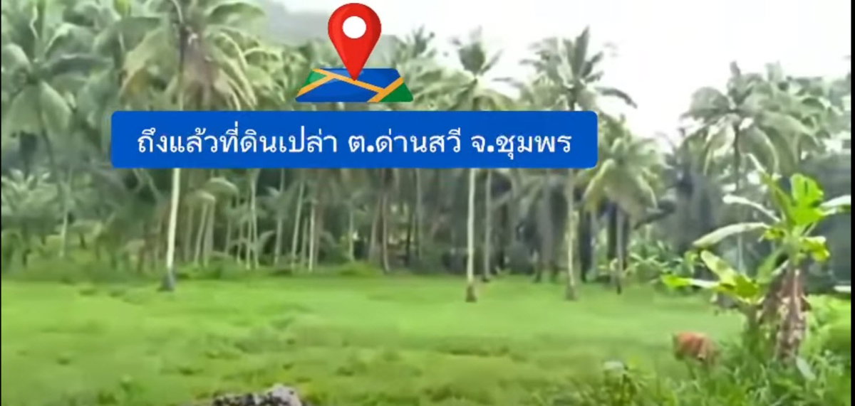 รูป ประกาศขายที่ดินเปล่า ต.ด่านสวี อ.สวี จ.ชุมพร - รูปที่ 4/4