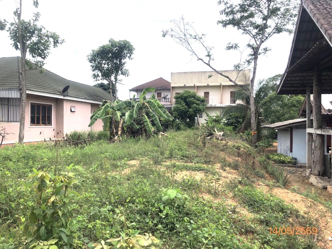 picture LAND 182.2 Sq.w. Prasaeng Surat Thani for 877,000 - 22/26