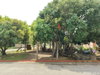listing thumbnail image 8