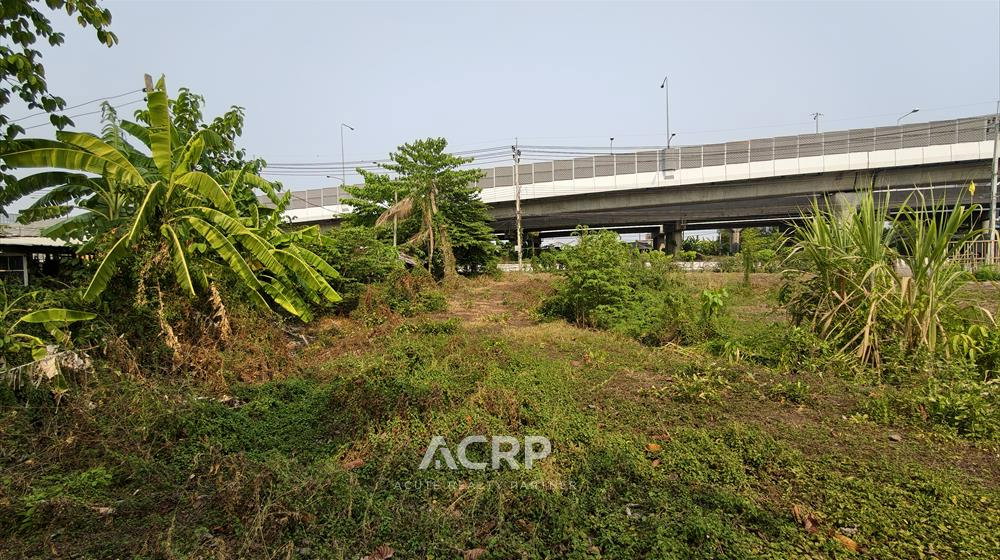 picture Rare Item !! Prime Land on Ratchaphruek Road (Outbound) – Opposite Robinson Lifestyle Ratchaphruek - 2/8