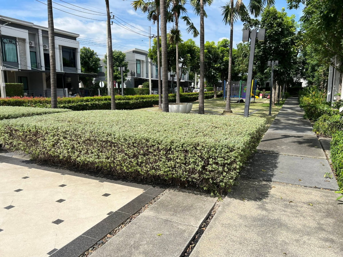 picture Code: 26KJ3170 for rent Pleno Phaholyothin - Watcharapol 2 🔥🔥 Line ID: @kjcondo (with @)🔥🔥 - 6/20