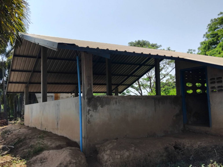 รูป โรงเรือนปศุสัตว์ ติดถนน บ้านกร่าง-บ้านแหลมโพธิ์ อำเภอ เมืองพิษณุโลก จังหวัด พิษณุโลก รหัสแฟ้ม : 67-00237 หรือ 30531-0001 ติดต่อคุณวันวิสา - รูปที่ 11/20