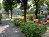 listing thumbnail image 7