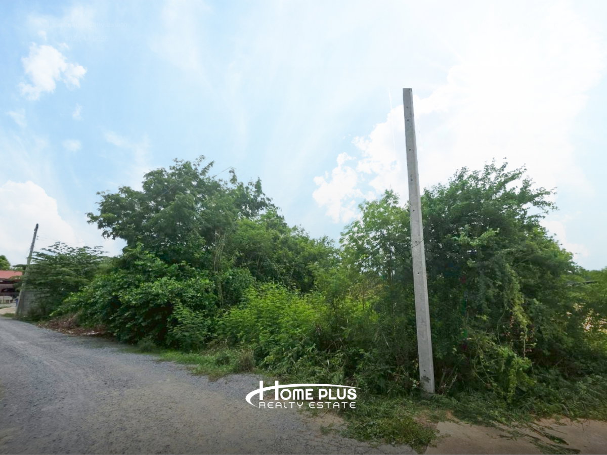 รูป ขายที่ดินเปล่า 200 ตารางวา ถนนม้าสีหมอก ตำบลท่าพี่เลี้ยง อำเภอเมืองสุพรรณบุรี - รูปที่ 2/6