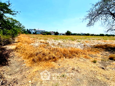 Land for sale Wellgrow Industrial Estate : 99,200 m² Land for Sale in Khlong Niyom Yattra (ID 2968196)
