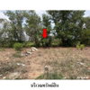 listing thumbnail image 6