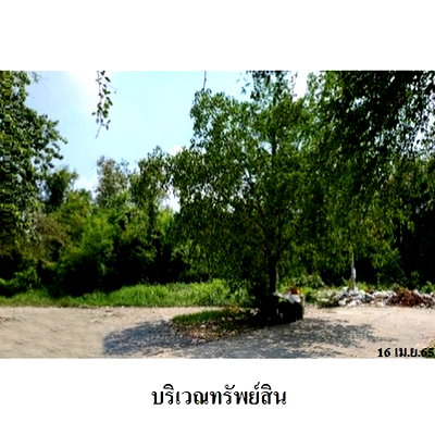 ที่ดิน ถนนสะพานนทบุรี-บางบัวทอง : Z1T2937 ขายที่ดิน โครงการ เมืองประชา ตำบล บางคูวัด อำเภอ เมืองปทุมธานี จังหวัด ปทุมธานี