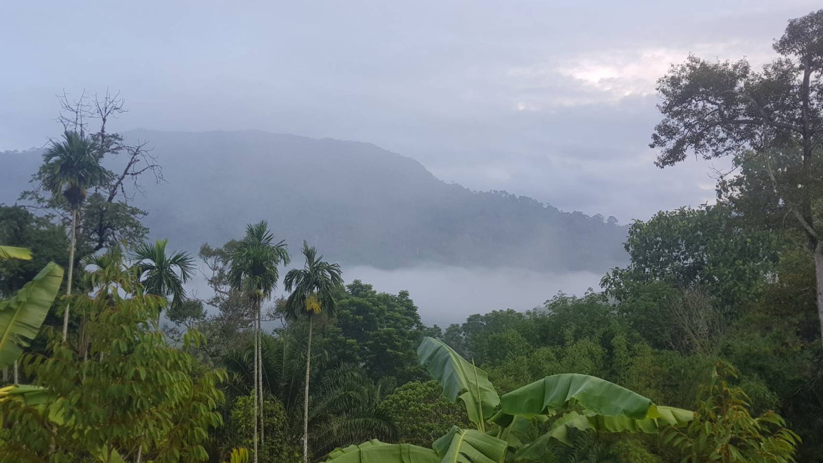รูป โอกาสสร้างรายได้! ที่ดินติดถนนใหญ่ วิวภูเขา อากาศดี เหมาะพัฒนารีสอร์ท - รูปที่ 4/4