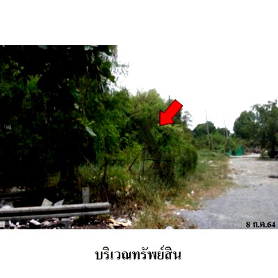 ที่ดิน ถนนสะพานนทบุรี-บางบัวทอง : Z1T2829 ขายที่ดิน โครงการ เมืองประชา ตำบล บางคูวัด อำเภอ เมืองปทุมธานี จังหวัด ปทุมธานี