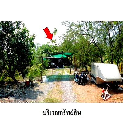 Land for sale Khlong Luang Pathumthani : FOR SALE  LAND PROPERTY  6424000 BAHT.
