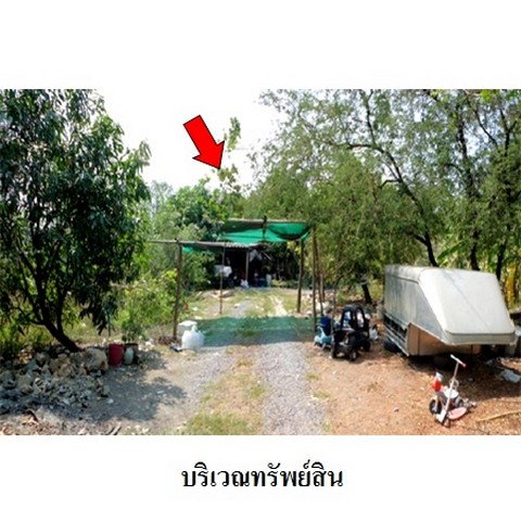 picture FOR SALE  LAND PROPERTY  6424000 BAHT. - 1/8