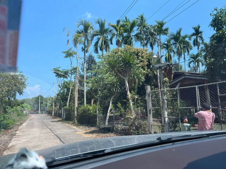 รูป ขายสวนผลไม้พร้อมที่ดิน อำเภอแกลง ระยอง บรรยากาศดี เหมาะลงทุน - รูปที่ 18/18