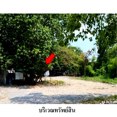 ที่ดิน ถนนสะพานนทบุรี-บางบัวทอง : Z1T2938 ขายที่ดิน โครงการ เมืองประชา ตำบล บางคูวัด อำเภอ เมืองปทุมธานี จังหวัด ปทุมธานี