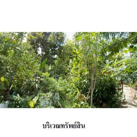 รูป Z1T2813 ขายที่ดิน โครงการ เมืองประชา ตำบล บางคูวัด อำเภอ เมืองปทุมธานี จังหวัด ปทุมธานี - รูปที่ 3/8