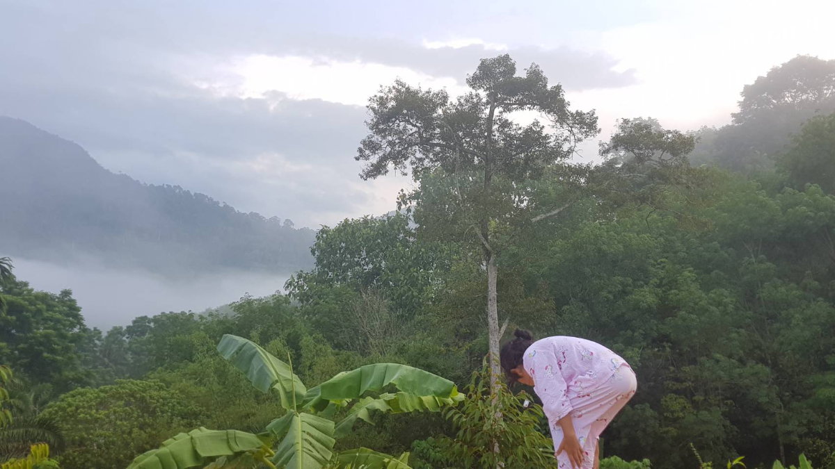 รูป โอกาสสร้างรายได้! ที่ดินติดถนนใหญ่ วิวภูเขา อากาศดี เหมาะพัฒนารีสอร์ท - รูปที่ 2/4