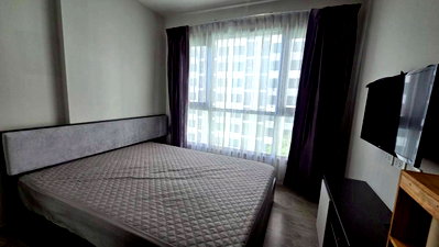 Condos for rent : ⛵ Base ⛵ Pool view / 7F / 1bedroom >> THB17,000/month彡