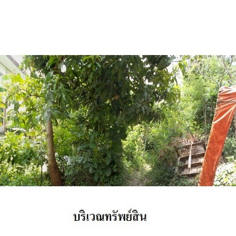รูป Z1T2813 ขายที่ดิน โครงการ เมืองประชา ตำบล บางคูวัด อำเภอ เมืองปทุมธานี จังหวัด ปทุมธานี - รูปที่ 4/8