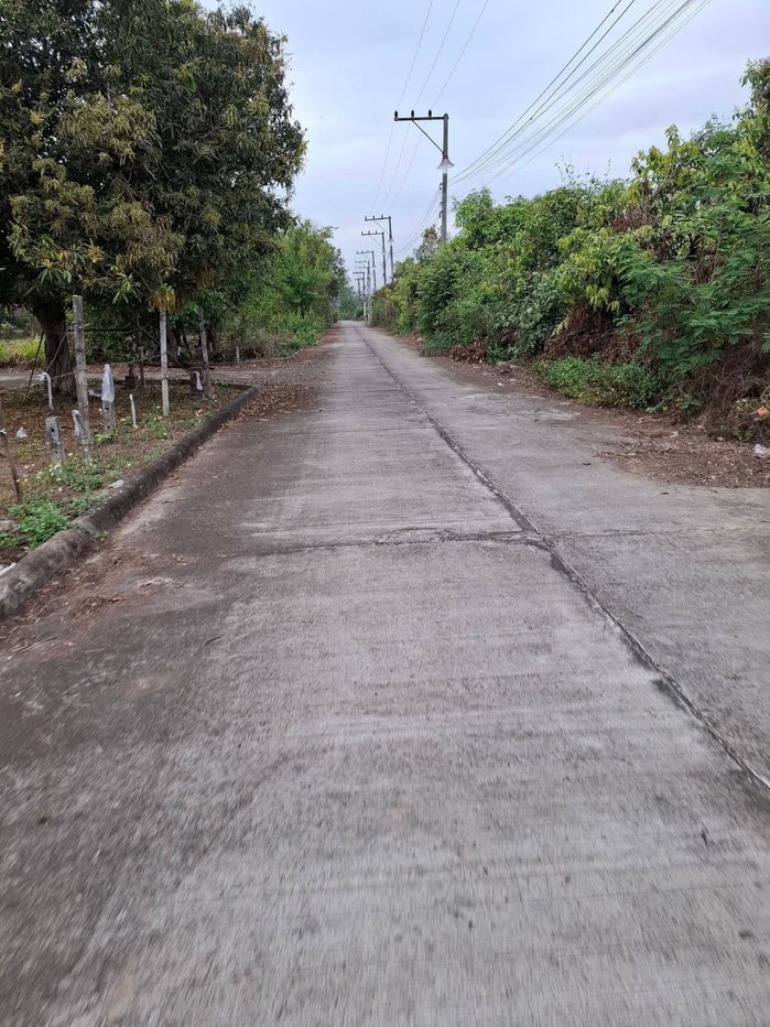 picture Land for Sales Please Contac 093 1387146 - 3/4
