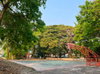 listing thumbnail image 14