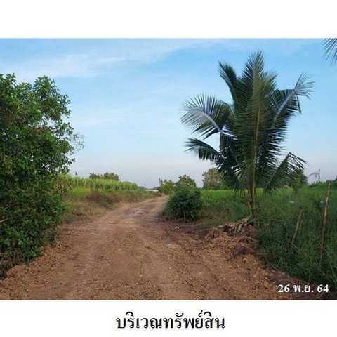 picture FOR SALE  LAND PROPERTY  24232000 BAHT. - 4/8