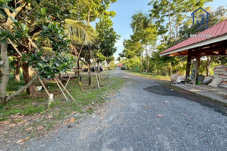 รูป ขายที่ดินถมแล้ว พร้อมสิ่งปลูกสร้าง บ้านสวน 5 ไร่ ถนนรังสิต-นครนายก คลอง 8 หนองเสือ ปทุมธานี - รูปที่ 8/11