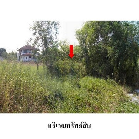 picture FOR SALE  LAND PROPERTY  5923000 BAHT. - 2/8