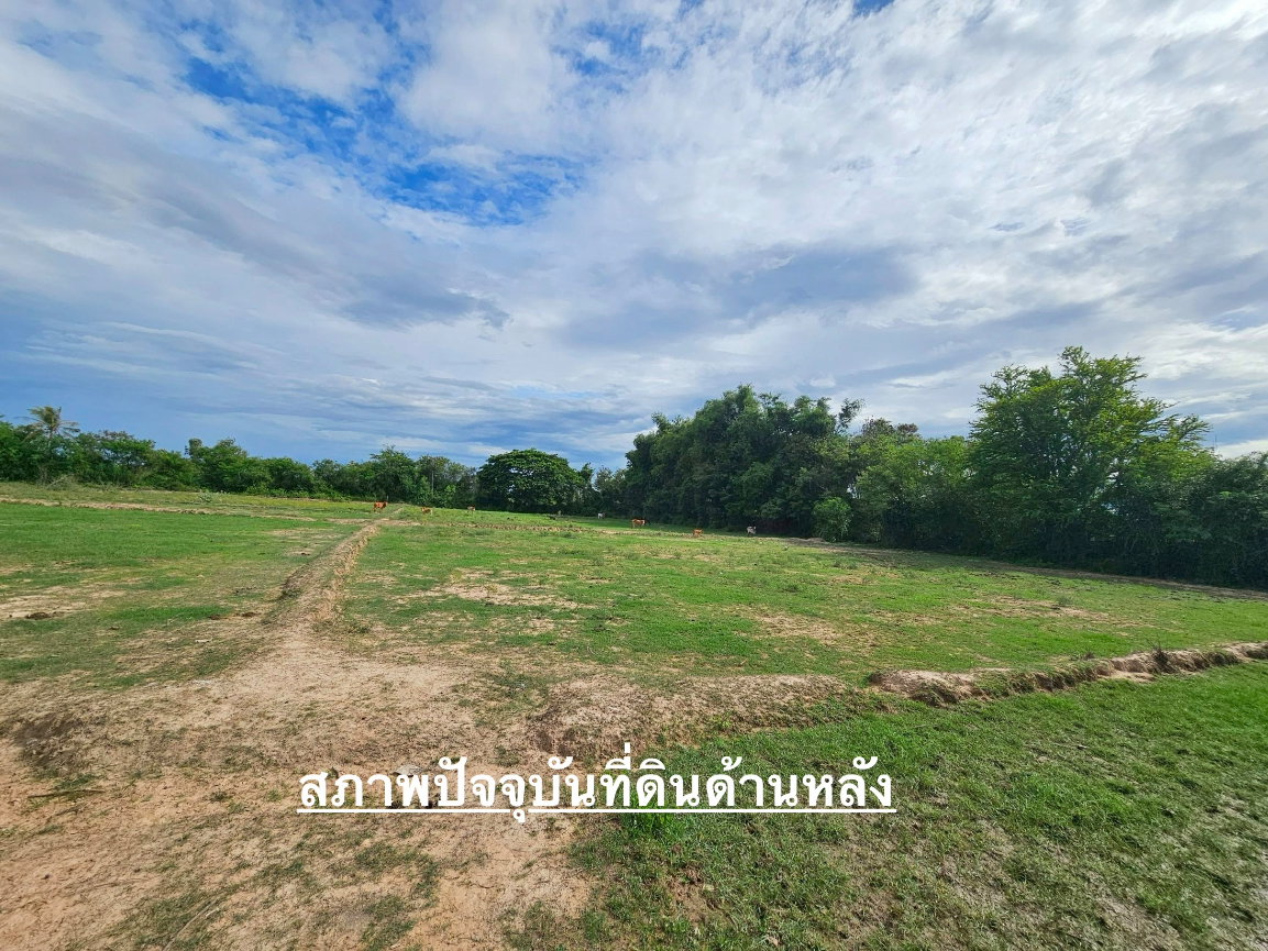 รูป ขายพี่ดิตแปลงสวย 24-1-81 ไร่  ริมถนนเพชรเกษม สาขาล่องใต้ วิวภูเขาสามร้อยยอด - รูปที่ 4/28