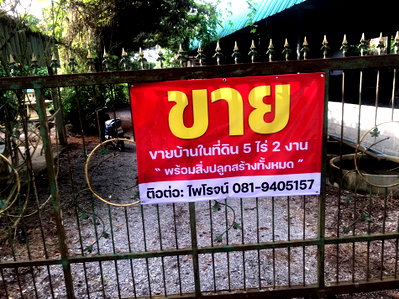 ที่ดิน แกลง ระยอง : Call : 081-940-5157 ขายที่ดินพร้อมบ้าน 5.5 ไร่ หมู่8 ตำบลสองสลึง อำเภอแกลง จังหวัดระยอง ห่างจากถนนสุขุมวิท เพียง 100 เมตร