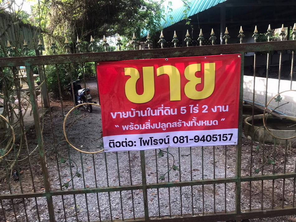 รูป Call : 081-940-5157 ขายที่ดินพร้อมบ้าน 5.5 ไร่ หมู่8 ตำบลสองสลึง อำเภอแกลง จังหวัดระยอง ห่างจากถนนสุขุมวิท เพียง 100 เมตร - รูปที่ 1/11