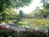 listing thumbnail image 11