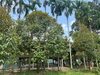 listing thumbnail image 12