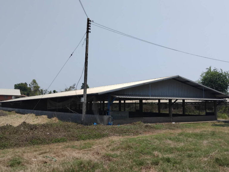 รูป โรงเรือนปศุสัตว์ ติดถนน บ้านกร่าง-บ้านแหลมโพธิ์ อำเภอ เมืองพิษณุโลก จังหวัด พิษณุโลก รหัสแฟ้ม : 67-00237 หรือ 30531-0001 ติดต่อคุณวันวิสา - รูปที่ 12/20