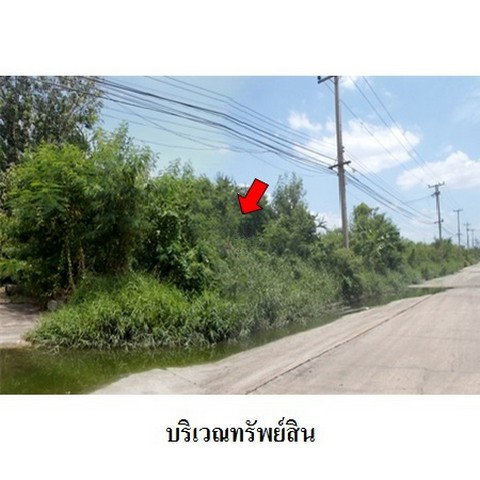 picture FOR SALE  LAND PROPERTY  220980000 BAHT. - 2/8