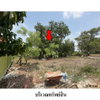 listing thumbnail image 6