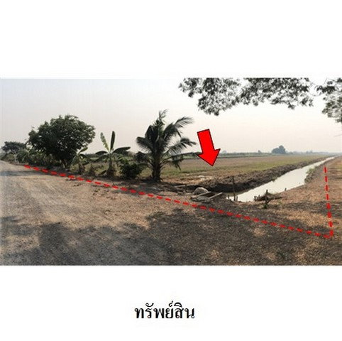 picture FOR SALE  LAND PROPERTY  24232000 BAHT. - 6/8