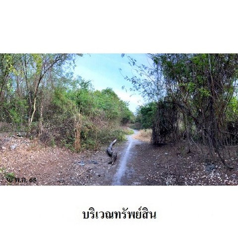 picture FOR SALE  LAND PROPERTY  220980000 BAHT. - 8/8